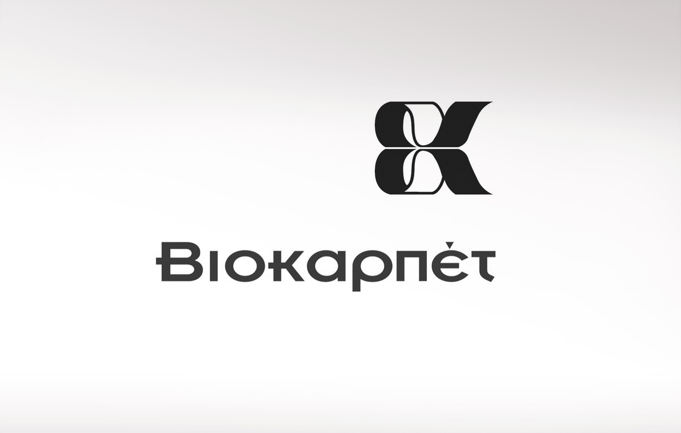 Βιοκαρπέτ: Μειωμένα κέρδη το 2024, επενδυτική αντεπίθεση για ανάκαμψη το 2025