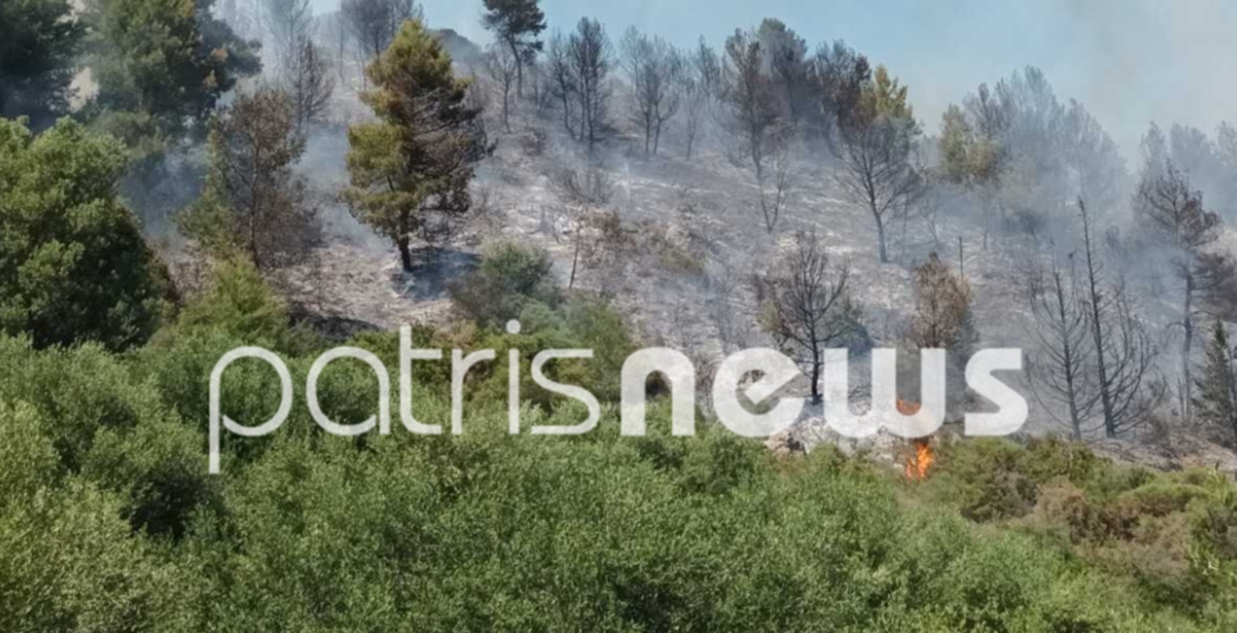Φωτιά στην περιοχή Καλυβάκια της Ηλείας