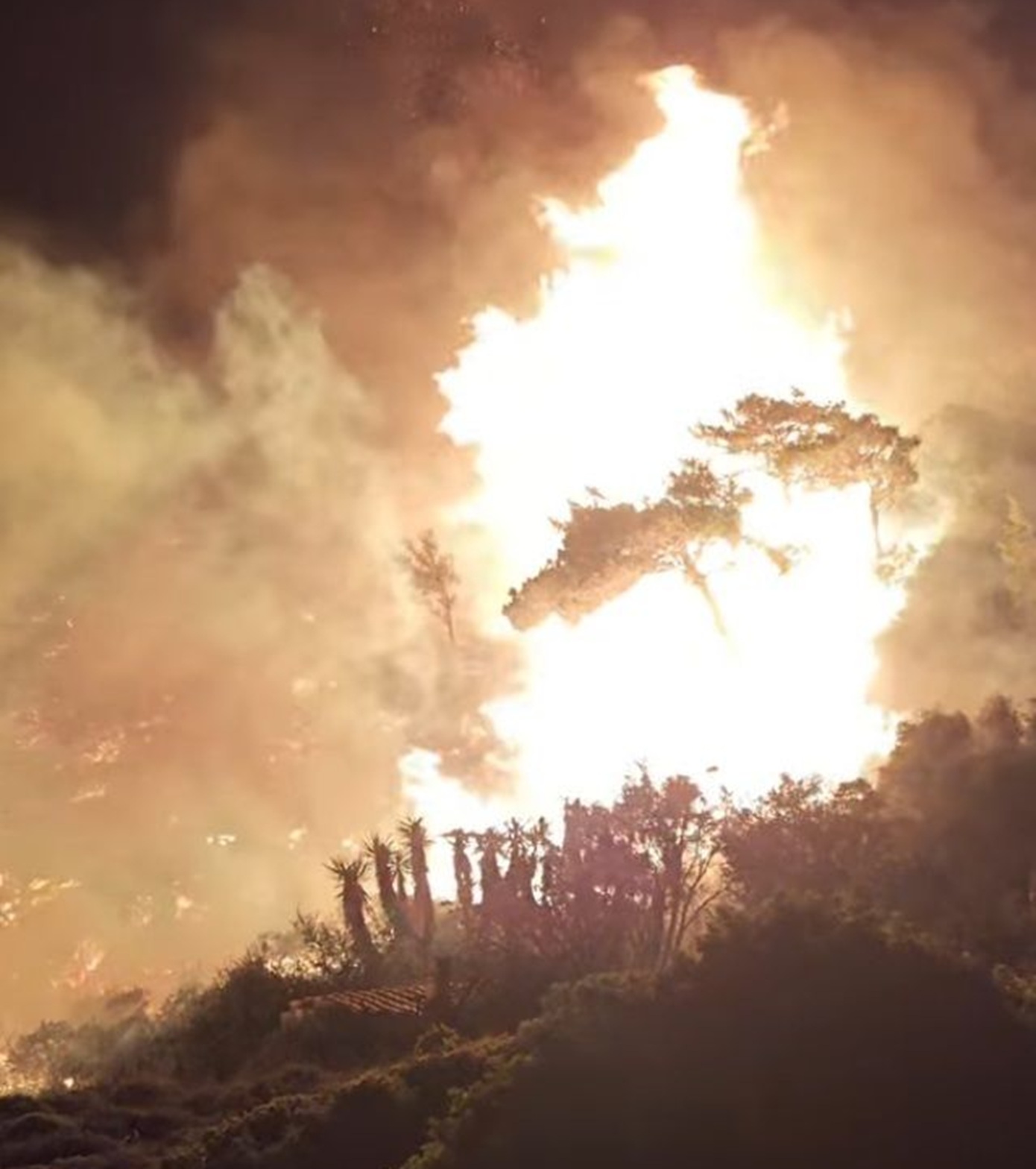 φωτιά στην Κερατέα φωτιά στην Κερατέα