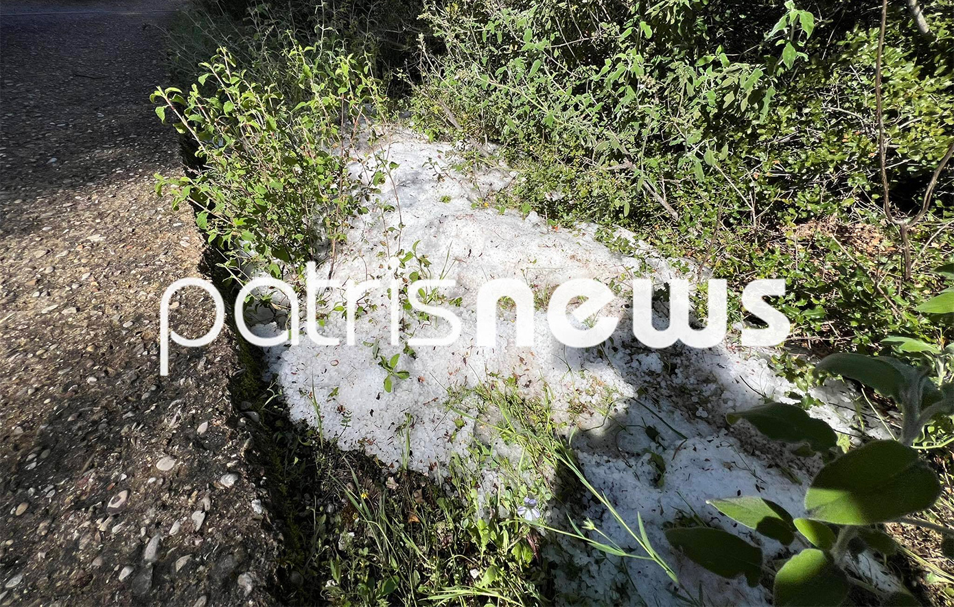 Σοβαρά τα προβλήματα από τη χαλαζόπτωση που έπληξε την Ηλεία &#8211; «Τσάκισε» τις καλλιέργειες στο Κρυονέρι και το Βαρθολομιό