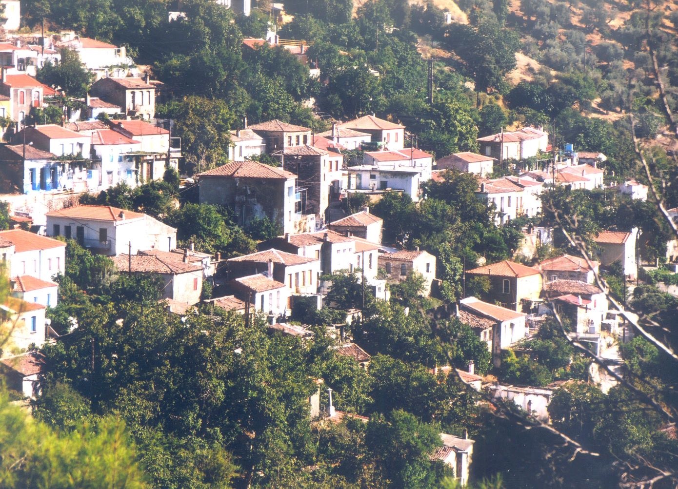 Άφησαν την Αθήνα για την ορεινή Φίλια της Λέσβου: Ζωή «λουλουδένια» με ροδόσταγμα και πετιμέζι