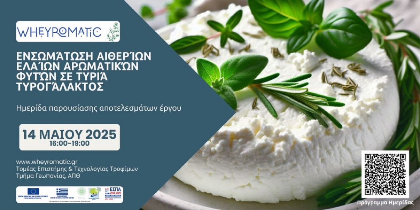 Καινοτόμο τυρί, εμπλουτισμένο με αιθέρια έλαια και εκχύλισμα ρίγανης, «γέννησε» το ερευνητικό έργο «WHEYROMATIC»