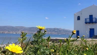 Το σπίτι που δεν περιμένεις να βρεις στη Σαλαμίνα