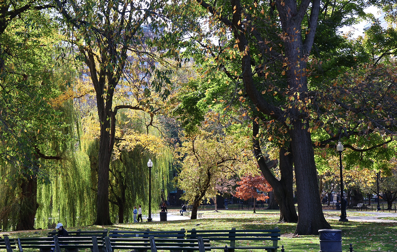 Βοστώνη Μασαχουσέτη