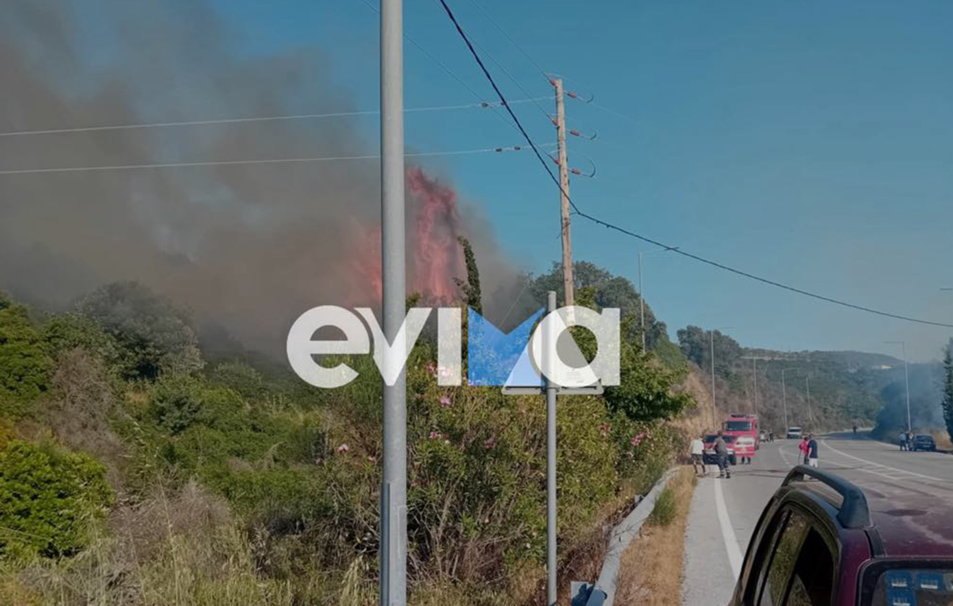 Μεγάλη φωτιά τώρα στην Εύβοια &#8211; Και κάτοικοι στη μάχη με τις φλόγες