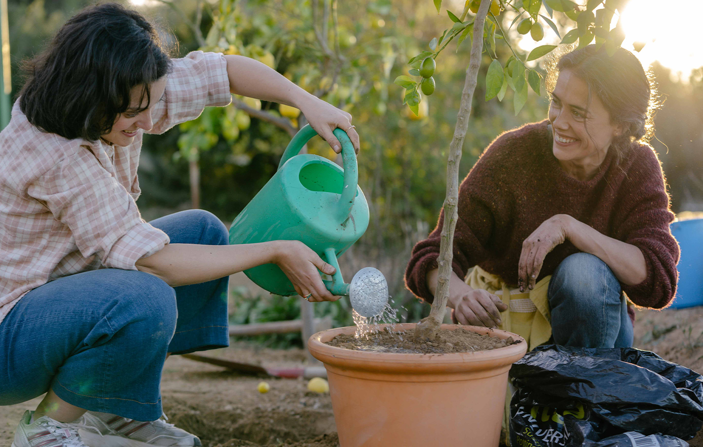 Λαμπυρίσματα Λαμπυρίσματα