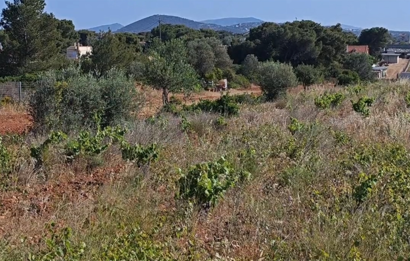 Νεκρός από πυρά στη Ραφήνα: Σε αυτό το σημείο βρέθηκε η σορός Νεκρός από πυρά στη Ραφήνα: Σε αυτό το σημείο βρέθηκε η σορός