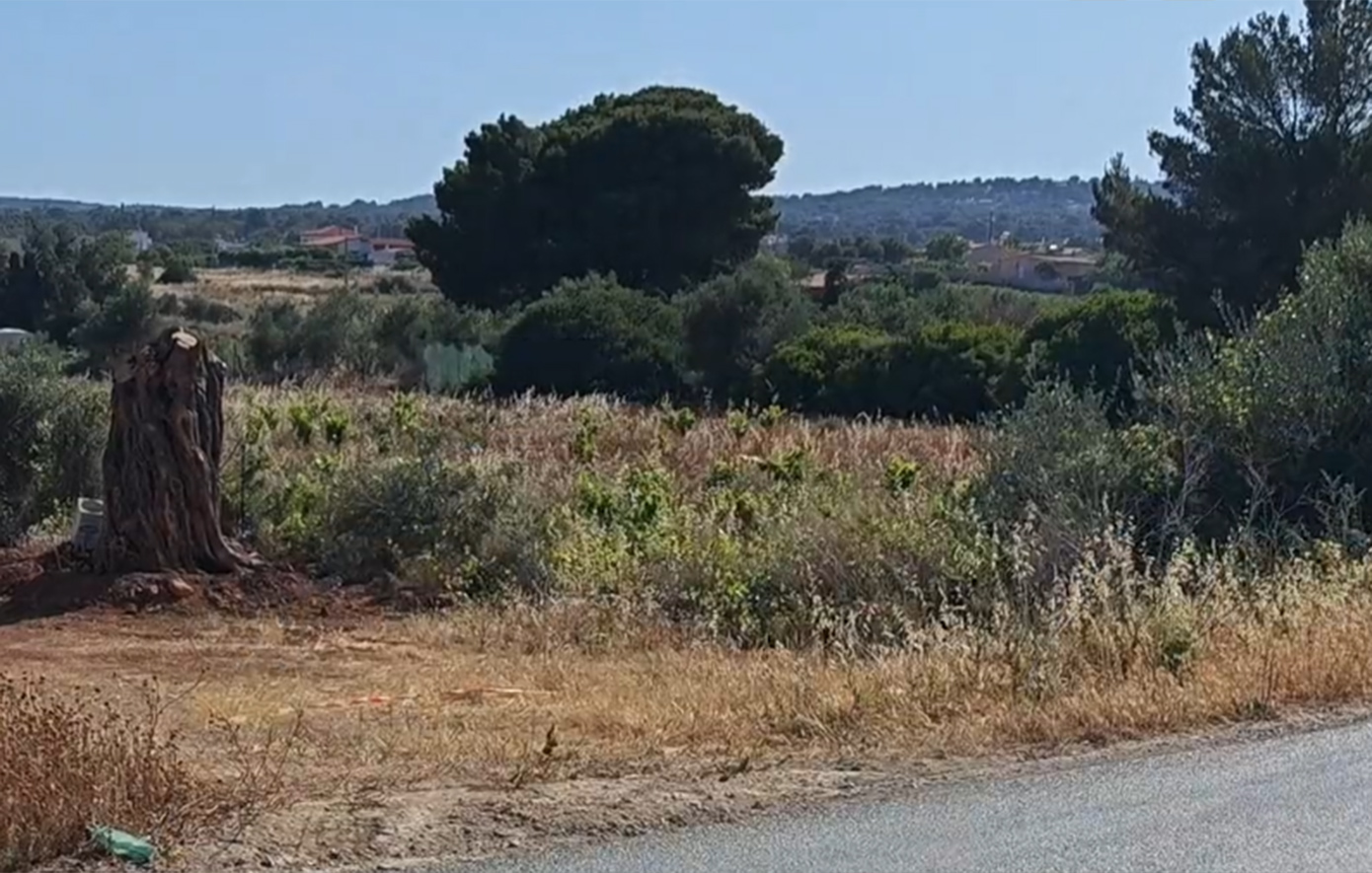 Νεκρός από πυρά στη Ραφήνα: Σε αυτό το σημείο βρέθηκε η σορός Νεκρός από πυρά στη Ραφήνα: Σε αυτό το σημείο βρέθηκε η σορός