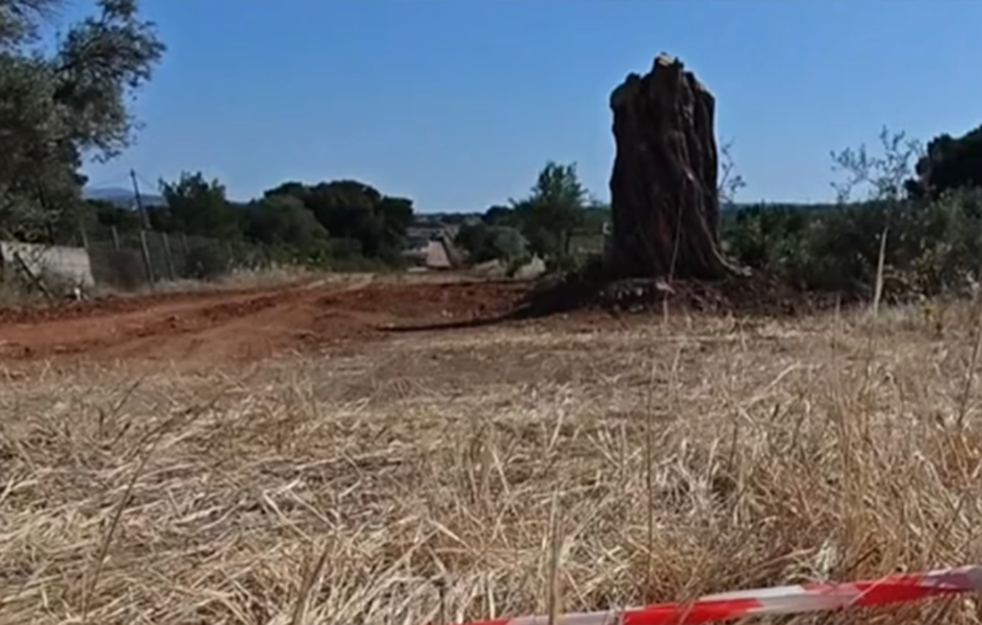 Ραφήνα: Ο 41χρονος υπέδειξε τον δολοφόνο πριν ξεψυχήσει – Το σημείο που βρέθηκε νεκρός