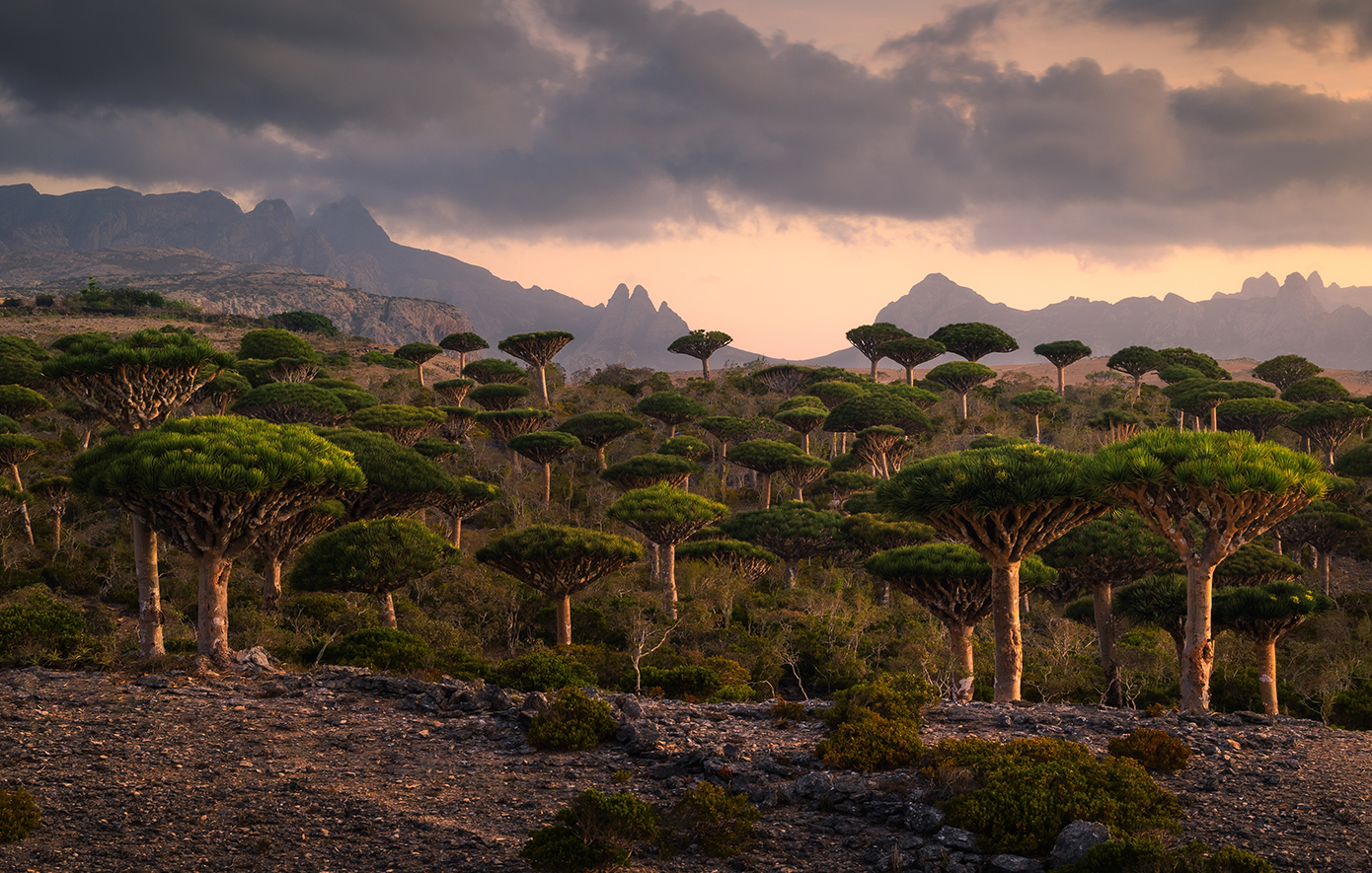 Socotra Σομαλία Socotra Σομαλία