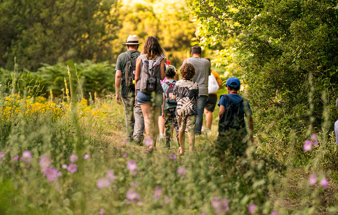 Βαμβακού Λακωνίας Βαμβακού Λακωνίας