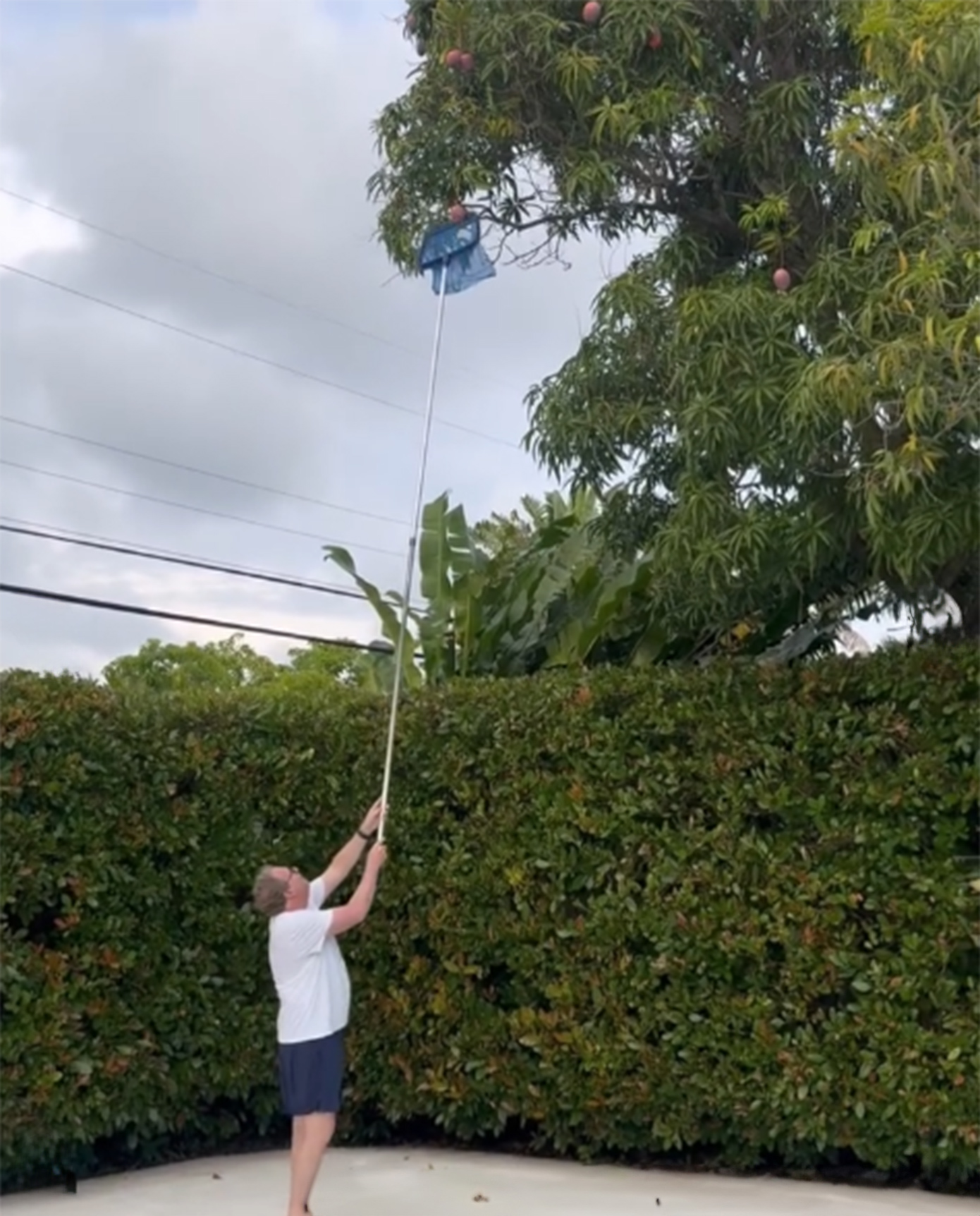 Αδερφός Τατιάνας Μπλάντνικ Αδερφός Τατιάνας Μπλάντνικ