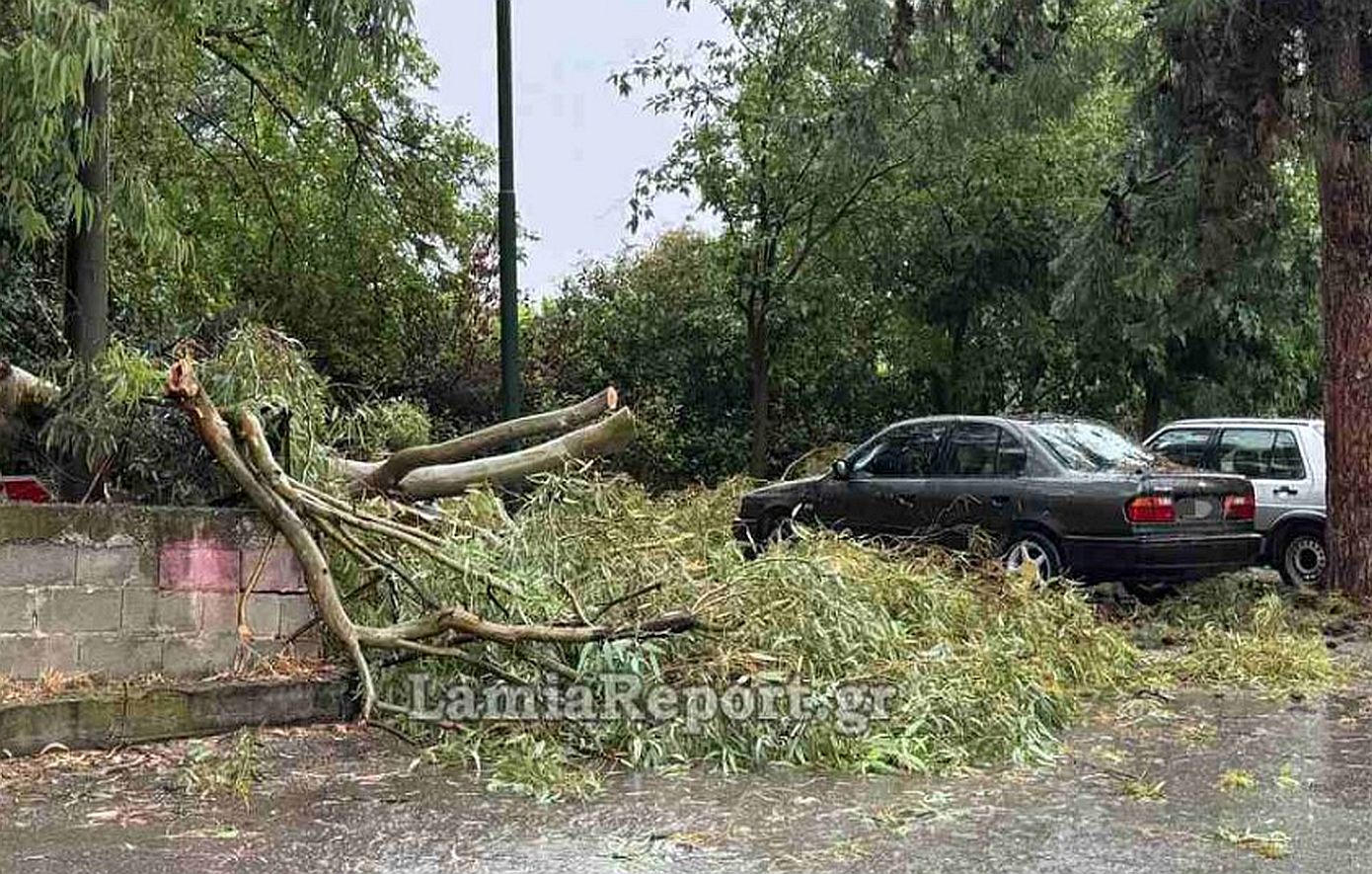 Λαμία: Ισχυρό μπουρίνι έριξε δέντρα, πλημμύρισε σπίτια και άφησε χωρίς ρεύμα τμήμα της πόλης