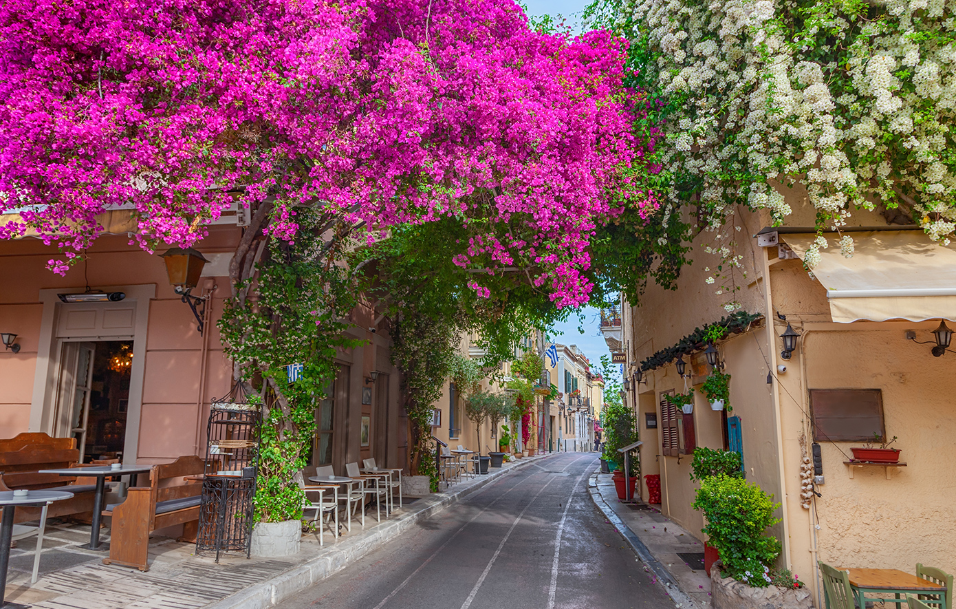 Πλάκα Πλάκα