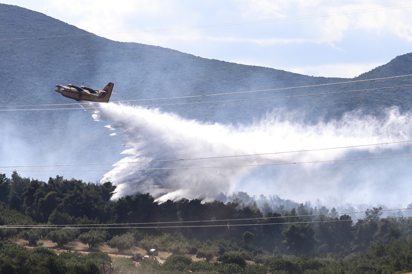 Οριοθετήθηκε η μεγάλη πυρκαγιά σε δασική έκταση στην Ριτσώνα