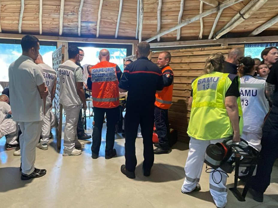 Κεραυνός έπληξε ζωολογικό κήπο στη Γαλλία &#8211; 13 τραυματίες, μεταξύ αυτών τέσσερα παιδιά
