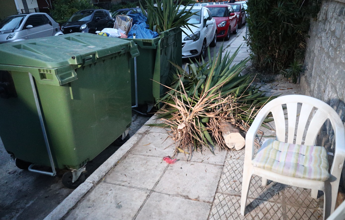 Βρέφος σε κάδους στον Άλιμο: Στο αυτόφωρο κατηγορούμενη για έκθεση ανηλίκου σε κίνδυνο η γιαγιά του παιδιού