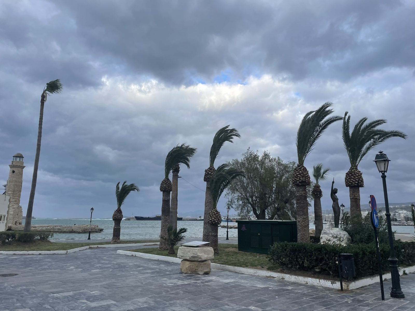 Ισχυροί άνεμοι δημιούργησαν προβλήματα από πτώσεις δέντρων στη δυτική Κρήτη