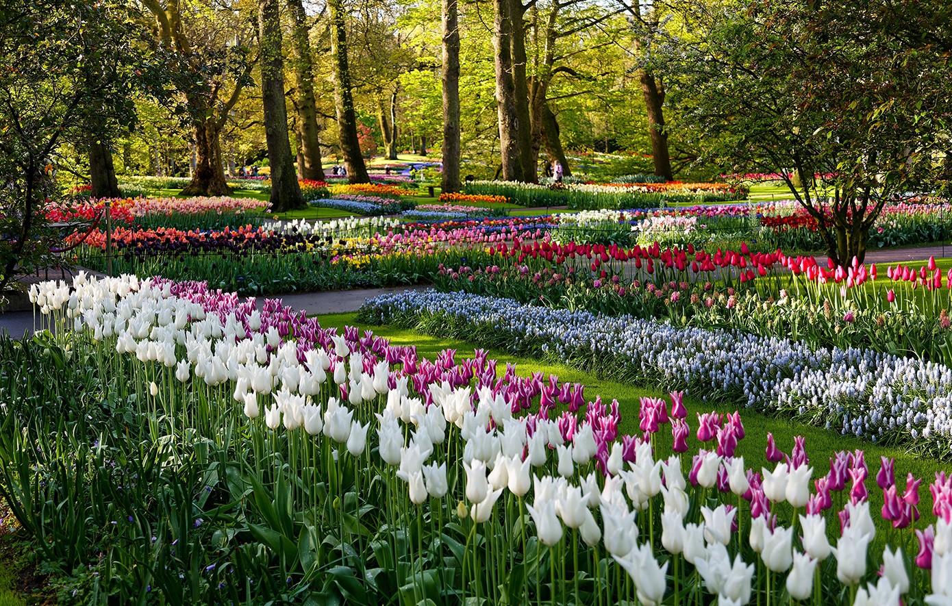 Άμστερνταμ, Ολλανδία