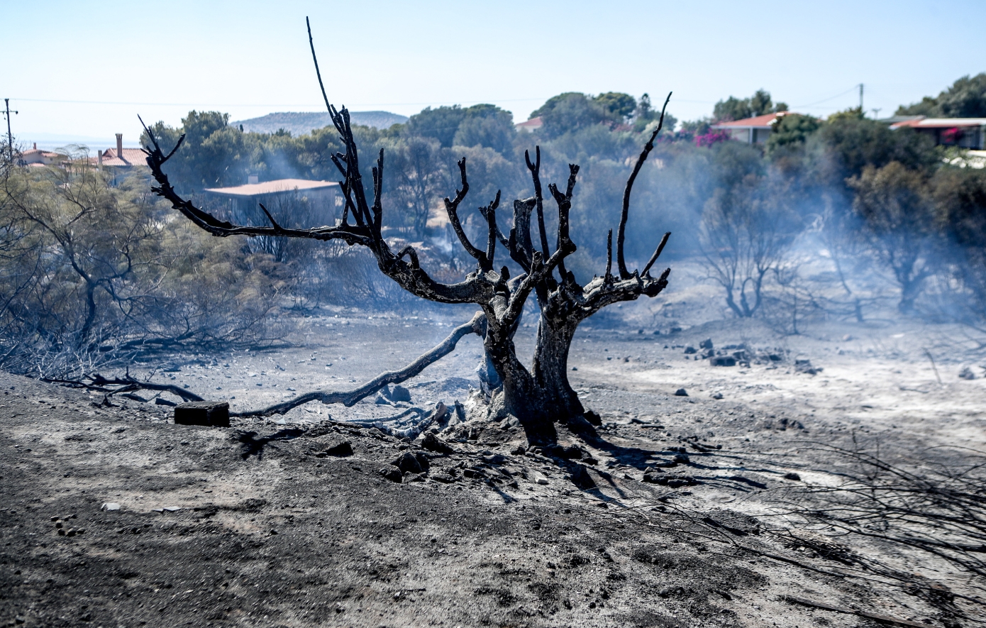 Ειδικό ποσοστό εισαγωγής στην τριτοβάθμια εκπαίδευση για μαθητές και αποφοίτους ΓΕΛ, ΕΠΑΛ, πυρόπληκτων και σεισμόπληκτων περιοχών