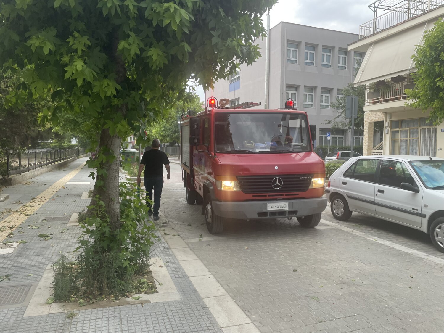 Σοβαρά προβλήματα από τους ισχυρούς ανέμους στη Θεσσαλία – Σε 48 περιστατικά παρενέβη η Πυροσβεστική