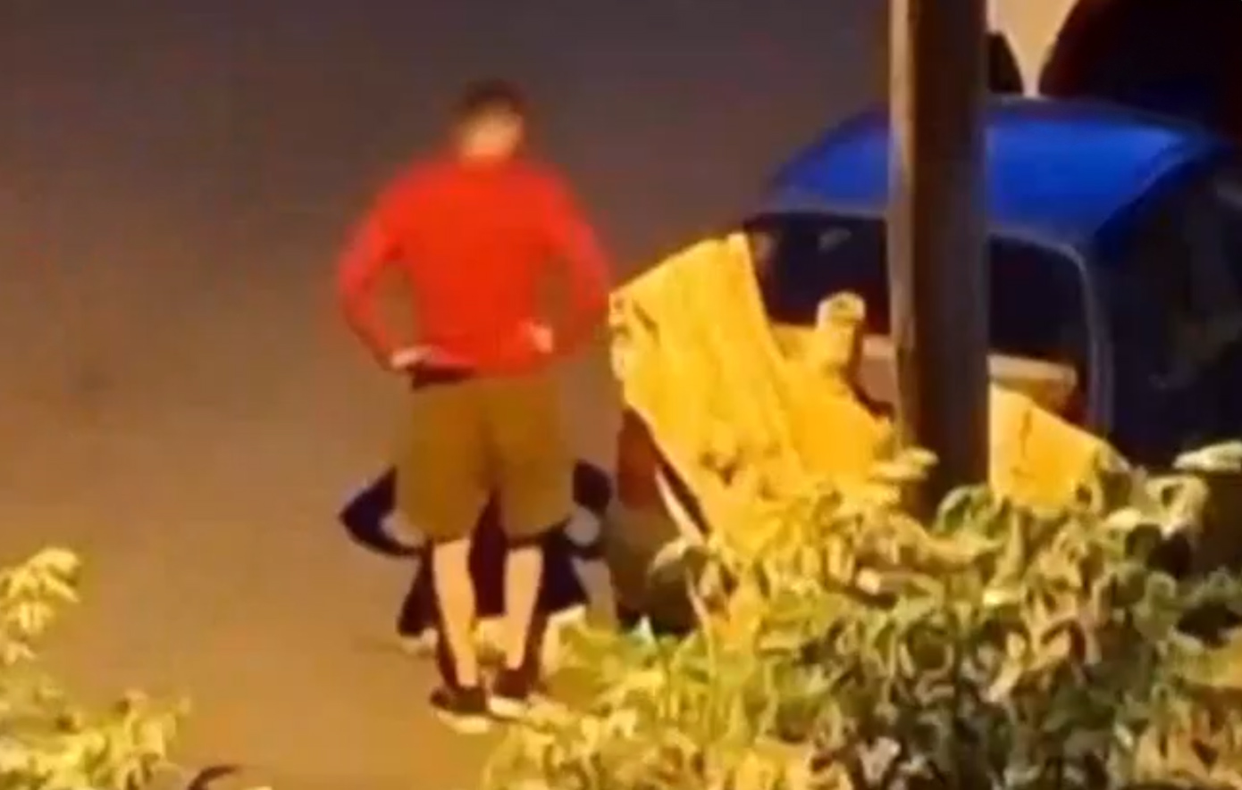 Συνελήφθη ο 34χρονος που πάτησε γατάκι με το αυτοκίνητό του στην Καλαμαριά
