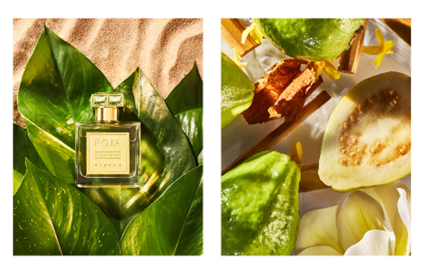 ROJA Parfums παρουσιάζει το ISOLA VERDE – Μια Τροπική Απόδραση Αισθήσεων
