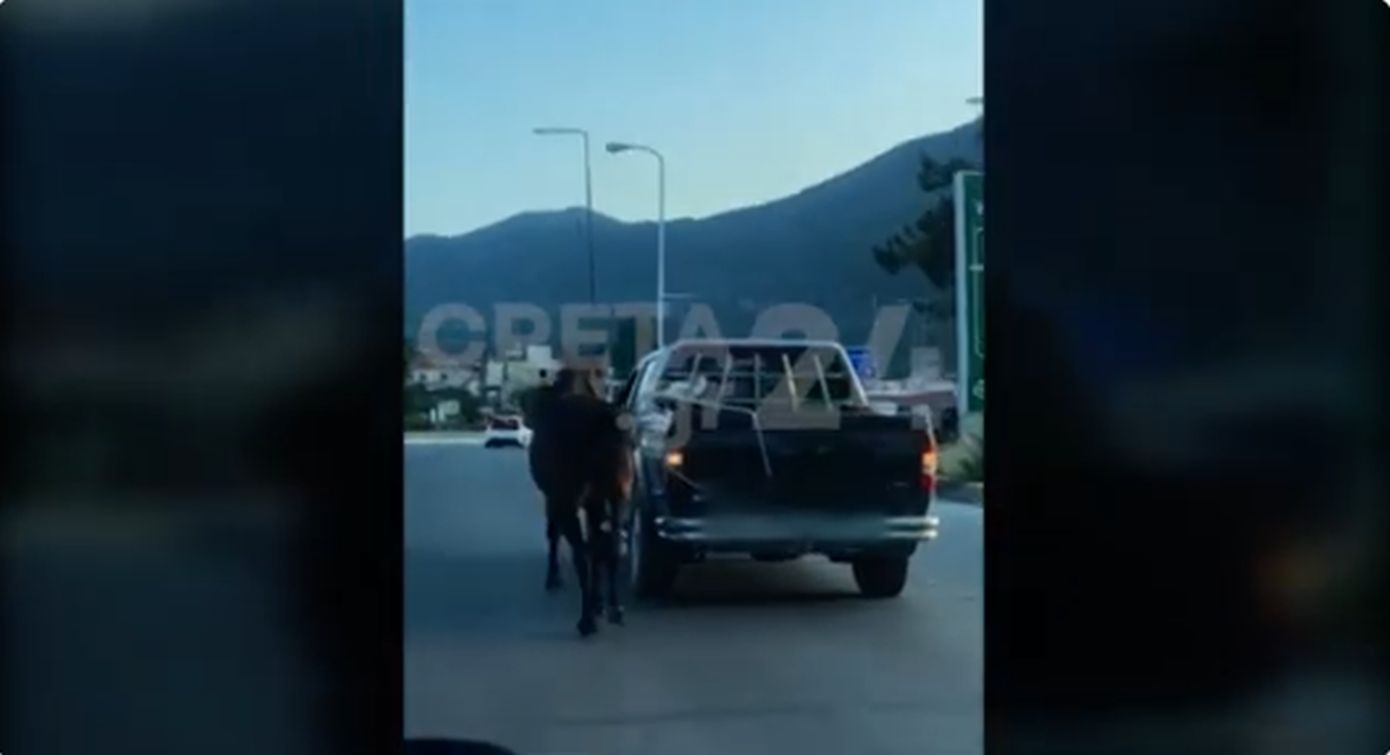 Έδεσε άλογο με σχοινί και το έσερνε με αγροτικό – Αντιδράσεις προκαλεί το βίντεο από την Κρήτη
