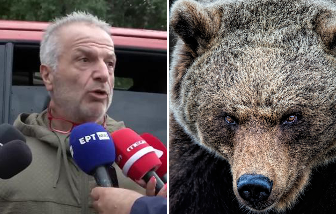 «Αν δεν είχαμε τα σπρέι, η αρκούδα θα μας είχε κάνει κομμάτια και τους δύο» &#8211; Συγκλονίζει ο φίλος του άτυχου ορειβάτη
