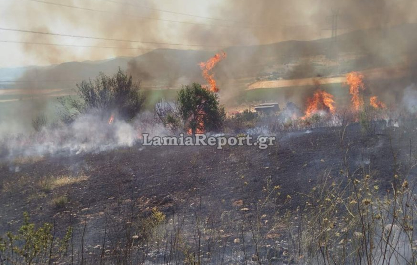 Φωτιά στον Δομοκό: Σηκώθηκαν εναέρια μέσα