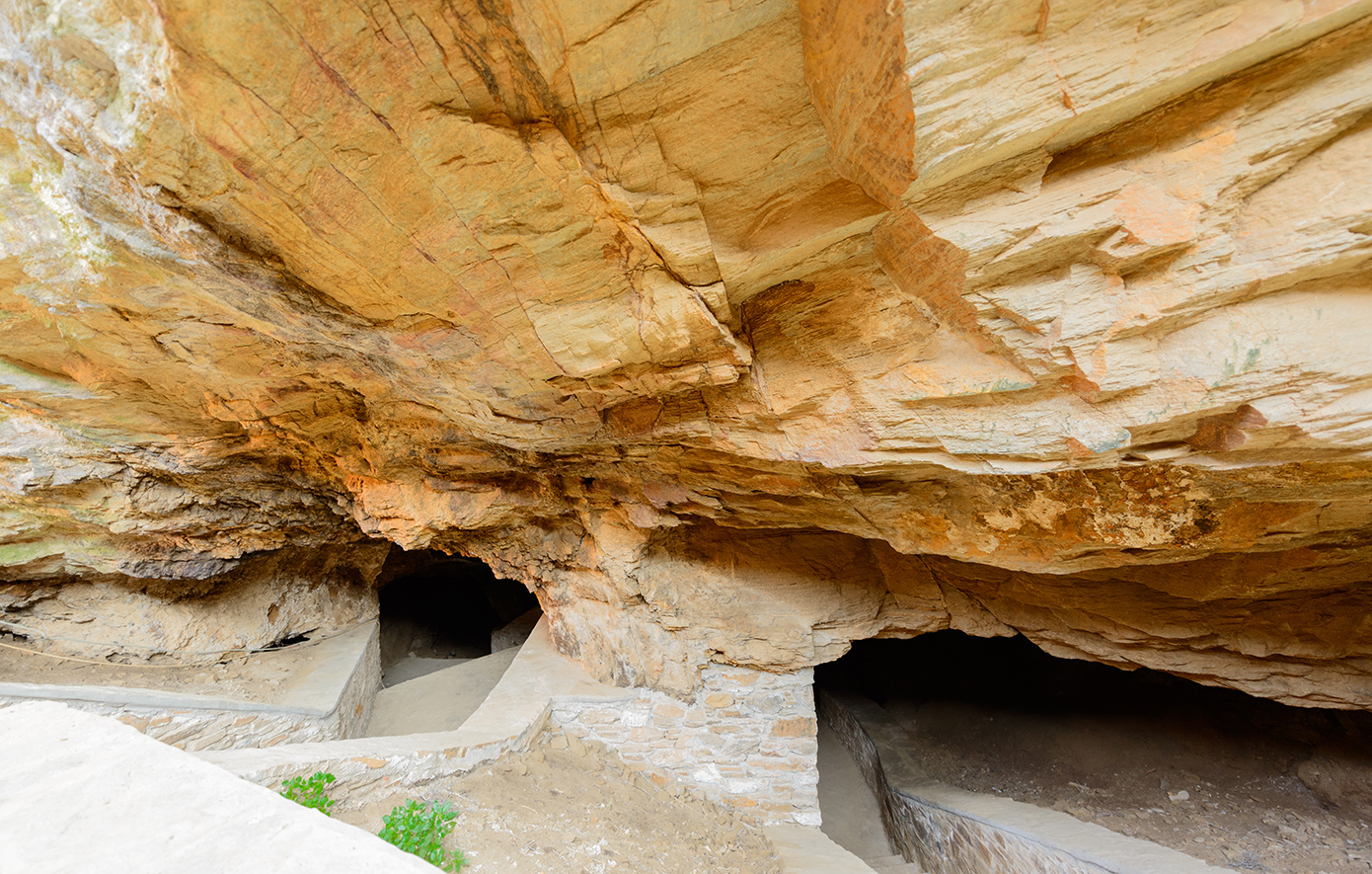 Δρυοπίδα Κύθνος Δρυοπίδα Κύθνος