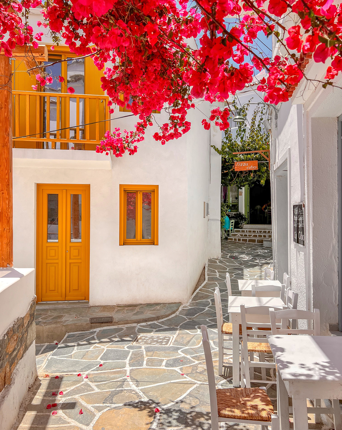 Δρυοπίδα Κύθνος Δρυοπίδα Κύθνος