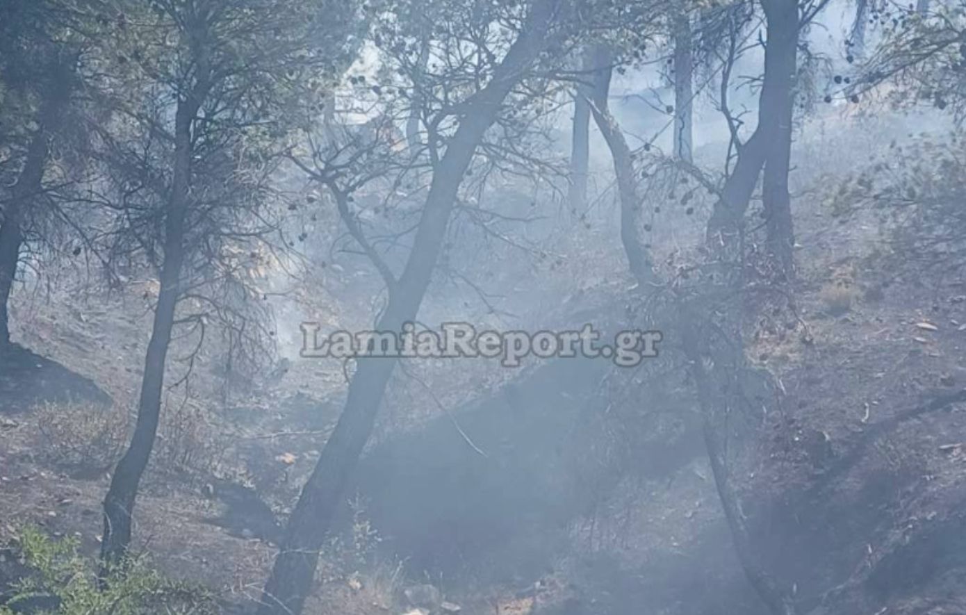 Φωτιά σε δύσβατη περιοχή στα Δερβενοχώρια