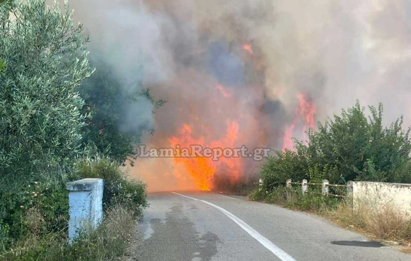 Φωτιά τώρα στο Αχλάδι Φθιώτιδας &#8211; Μήνυμα από το 112