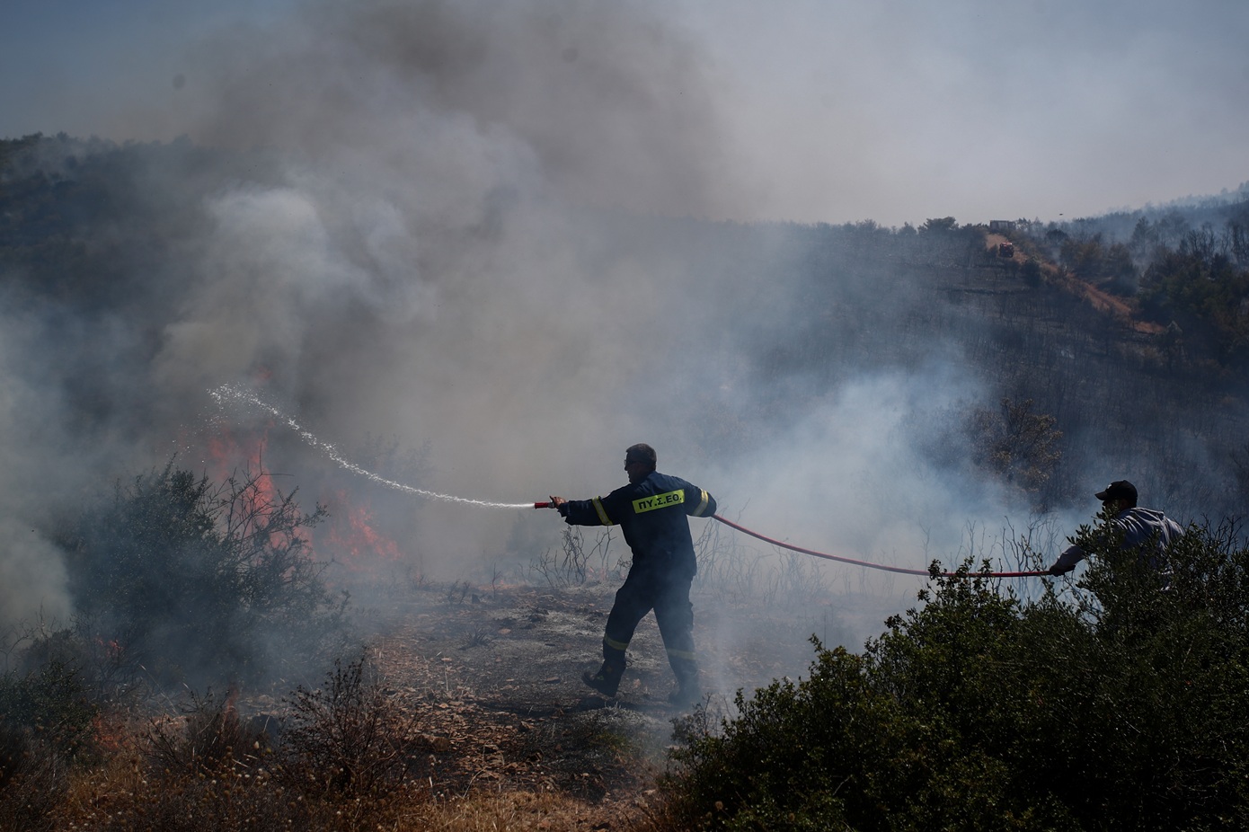 Από καρακάξα σε καλώδια ρεύματος ξεκίνησε η μεγάλη φωτιά στο Άνω Σούλι Μαραθώνα