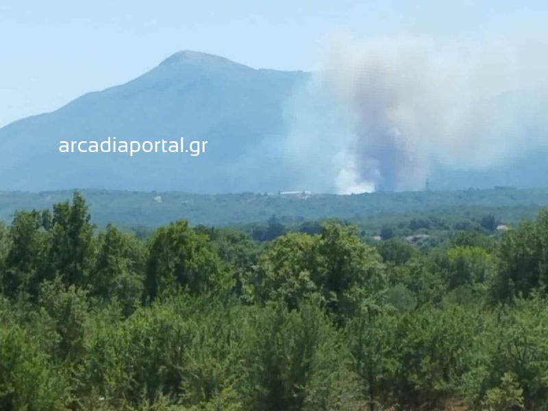 Φωτιά στην Αρκαδία &#8211; Επιχειρούν εναέρια μέσα