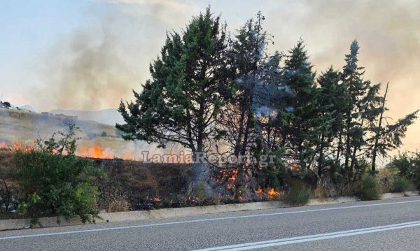 Φωτιά στην Καμηλόβρυση &#8211; Άμεση επέμβαση της πυροσβεστικής