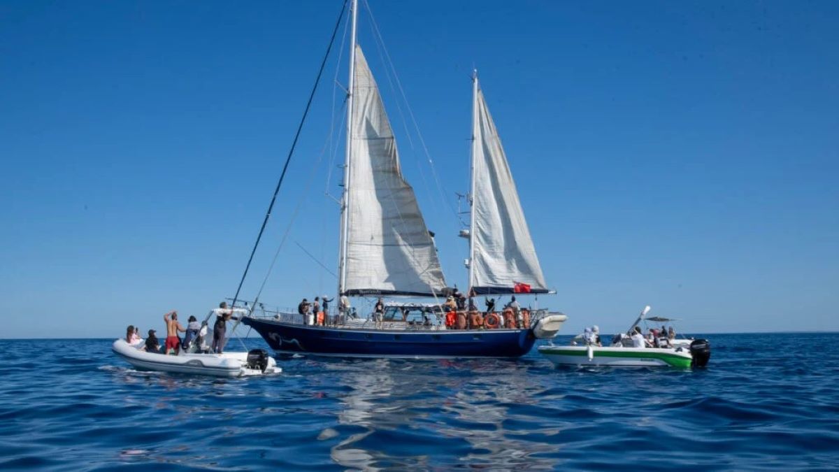 Πλησιάζει την αποκλεισμένη Γάζα το πλοίο «Μαντλίν» &#8211; Επιβαίνει η ακτιβίστρια Γκρέτα Τούνμπεργκ