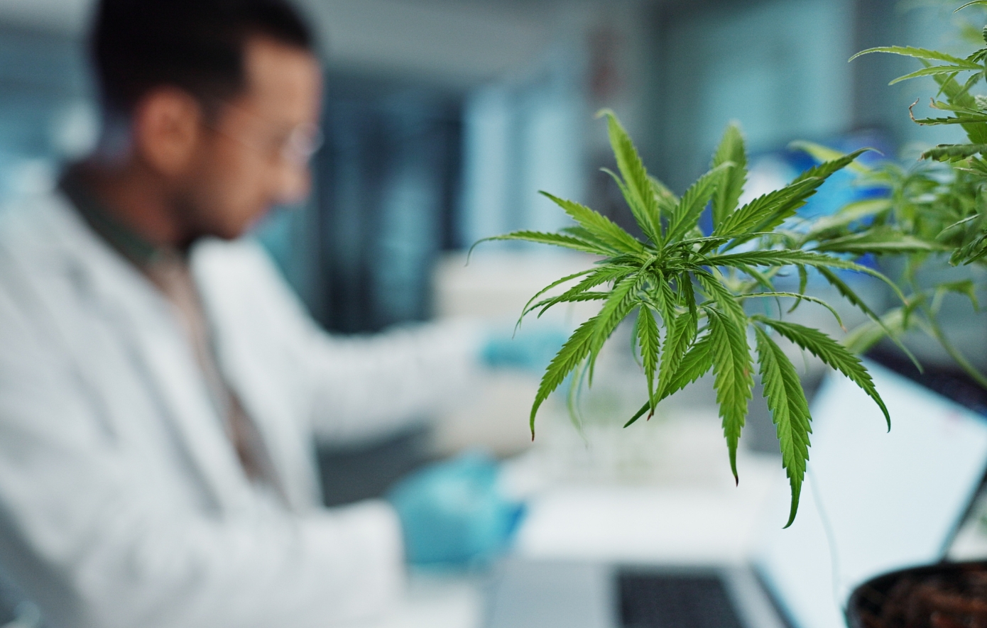 Συμμαχία Curity Pharma και Galenica για την επόμενη μέρα στη φαρμακευτική κάνναβη