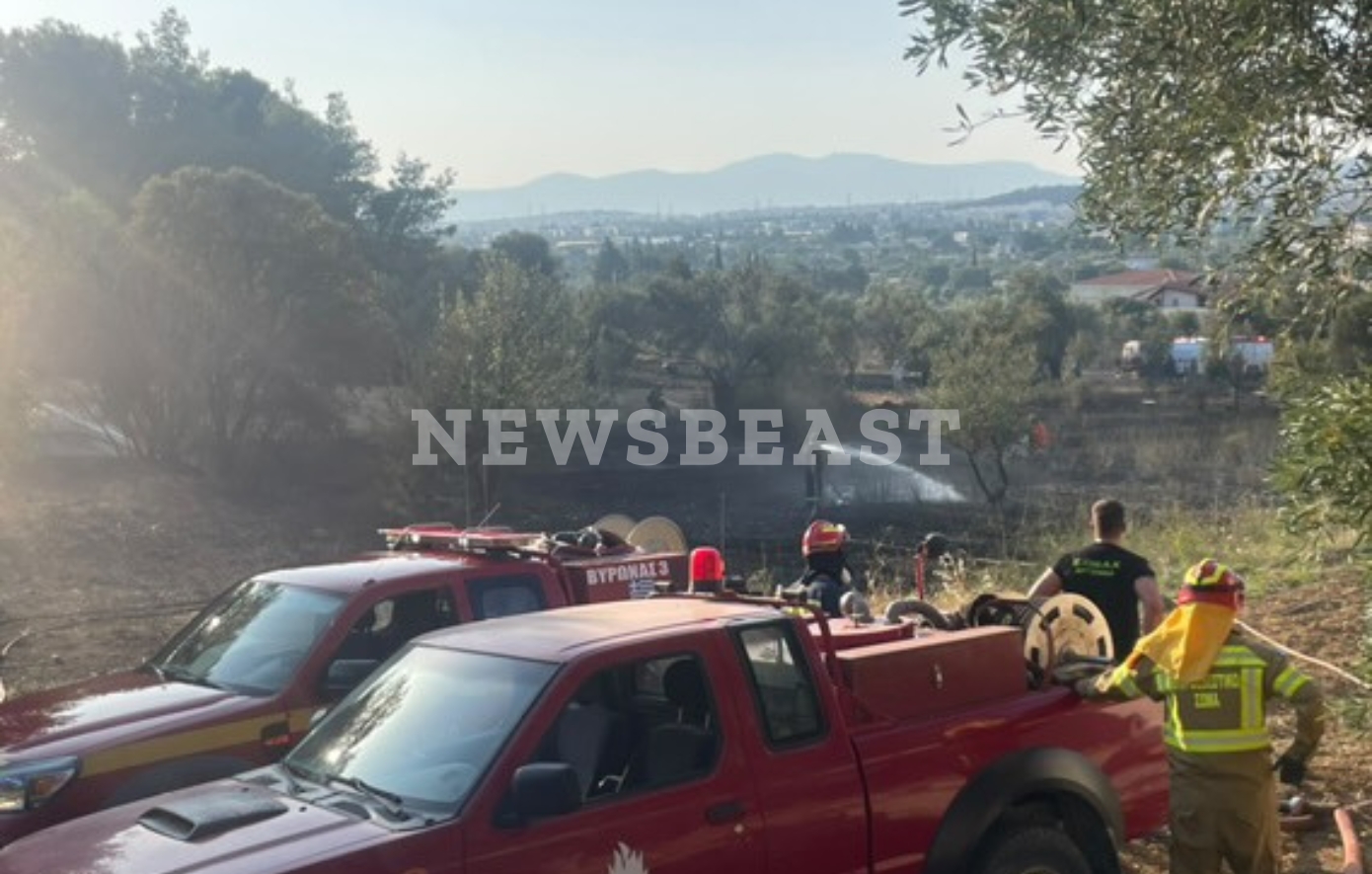 Υπό έλεγχο η φωτιά στην Παιανία