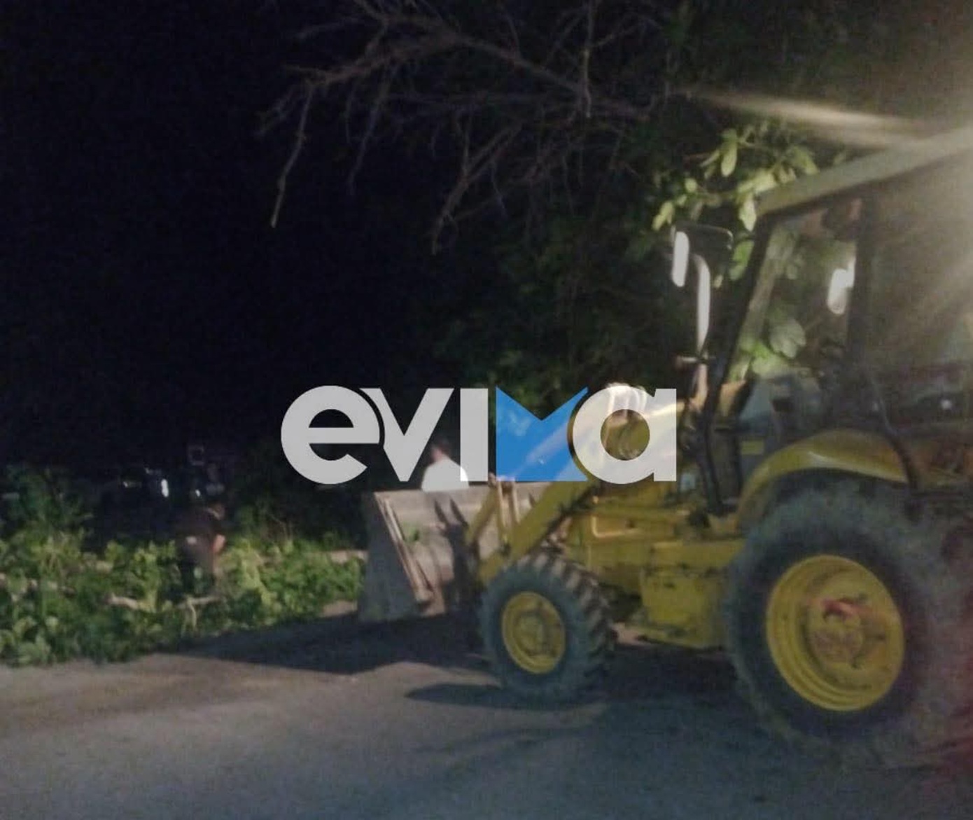 Μεγάλη λεύκα έπεσε σε χωριό της Εύβοιας λόγω των ισχυρών ανέμων – Είχε διακοπεί η κυκλοφορία στην περιοχή