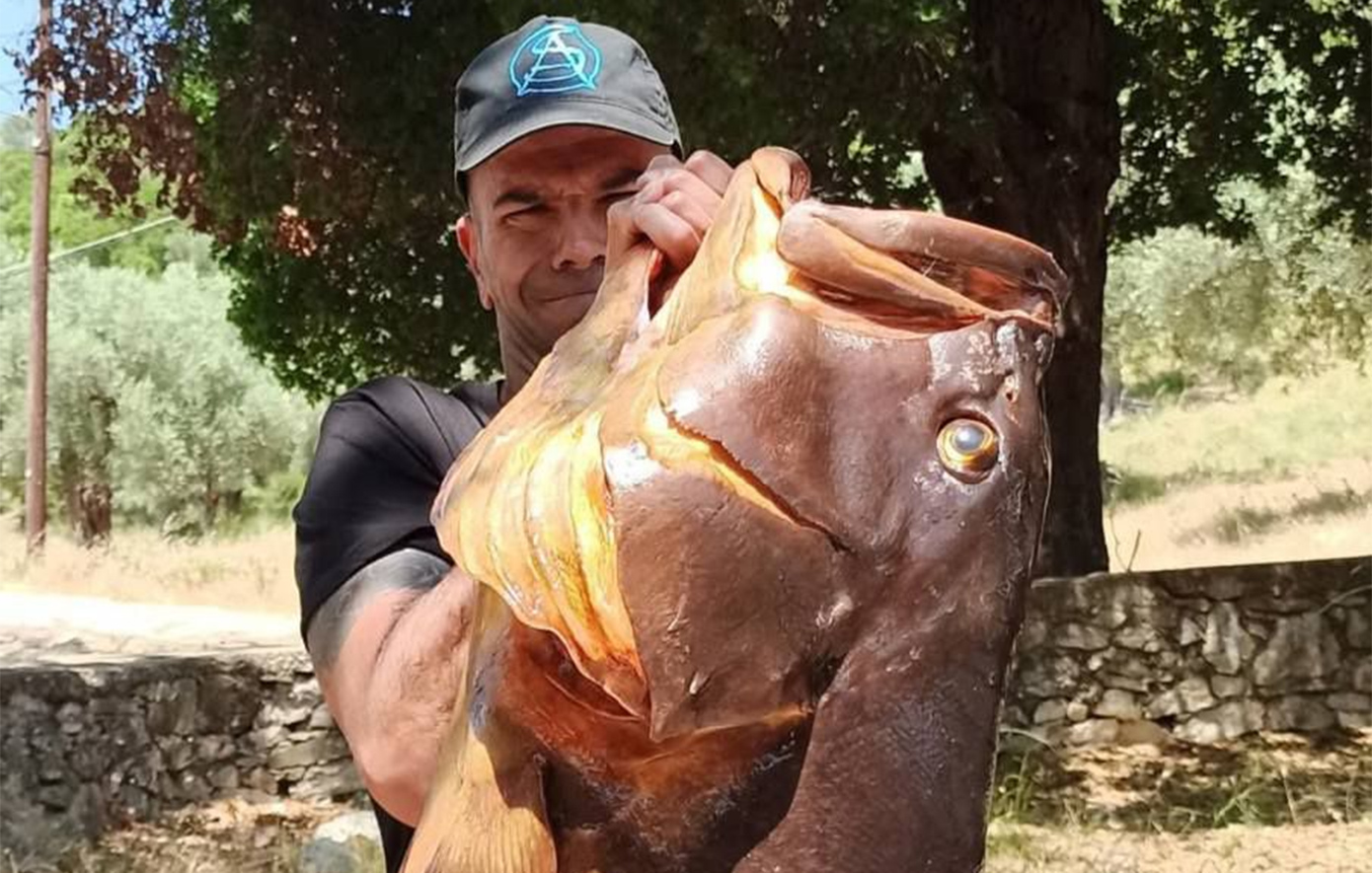 Απίστευτη ψαριά για Βολιώτη ψαροντουφεκά – Έπιασε ροφό 27 κιλών
