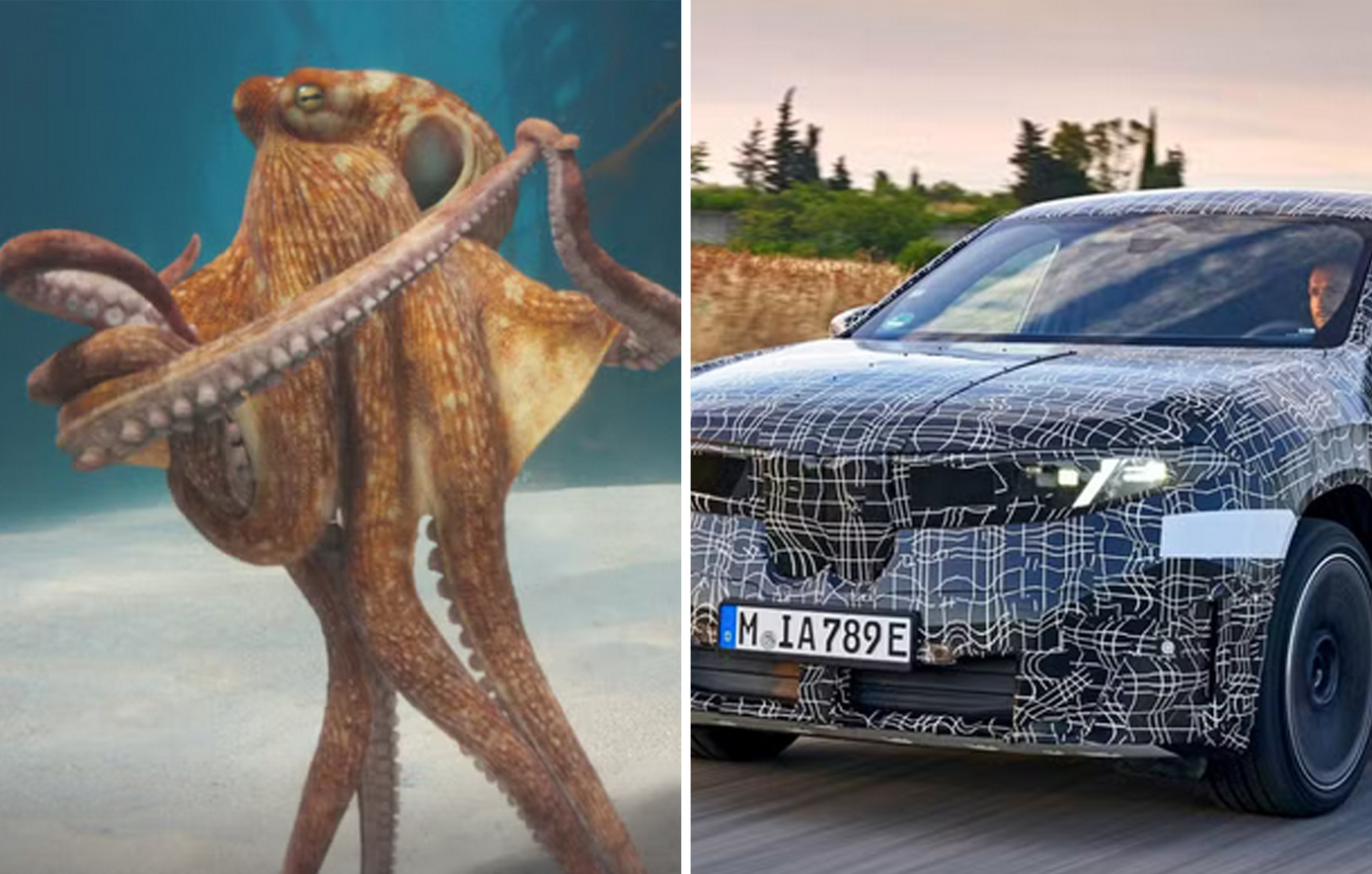 Η νέα BMW είναι ανώτερη από τα… χταπόδια &#8211; Η αλλόκοτη διαφημιστική καμπάνια