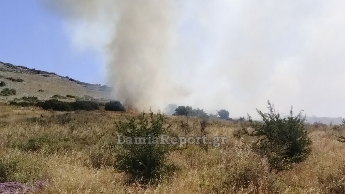 Δύσκολη μέρα στη Στερεά Ελλάδα: Συναγερμός για φωτιές σε Εύβοια και Βοιωτία &#8211; Πολλαπλά μέτωπα από τα ξημερώματα