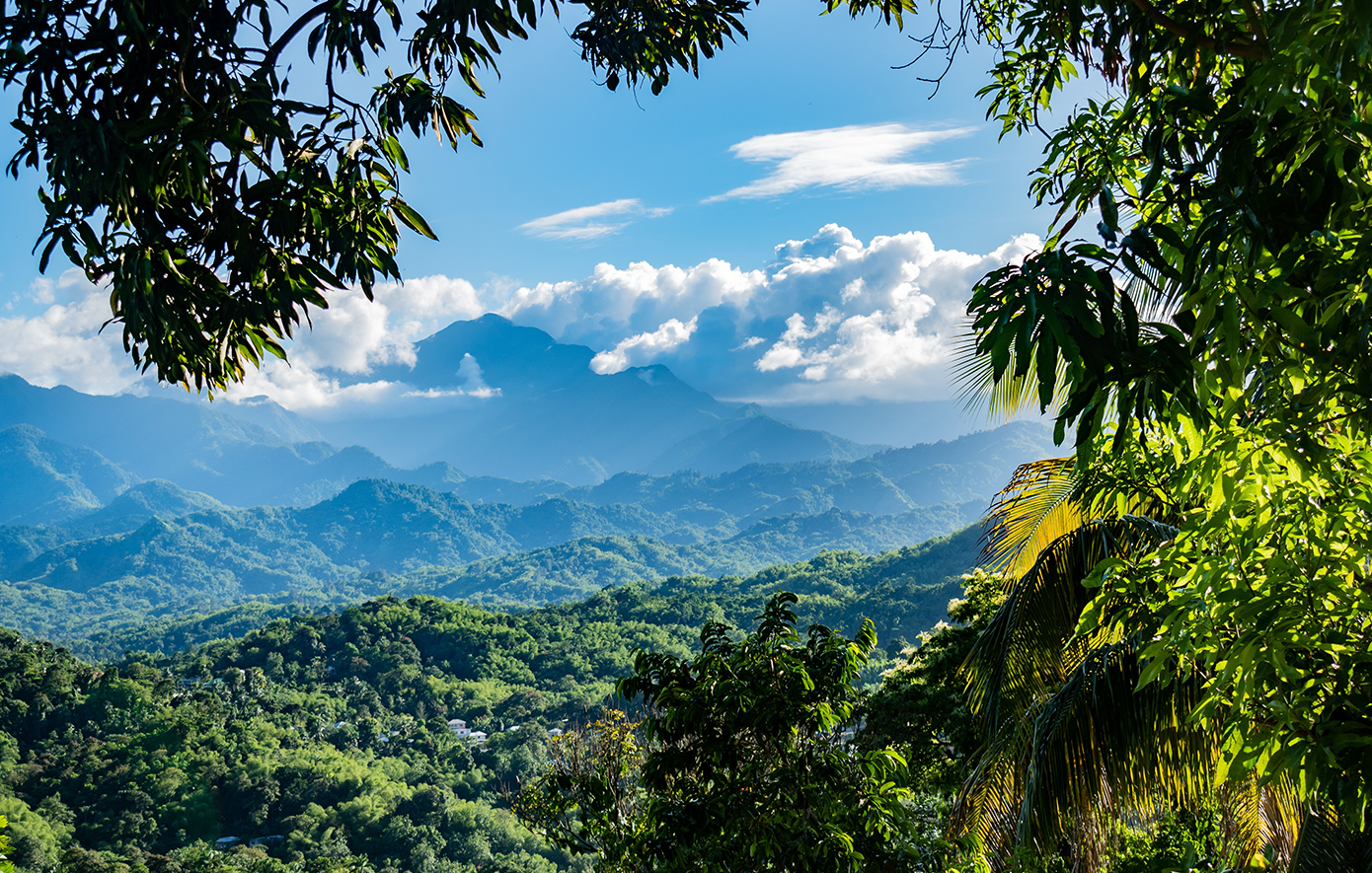 Τζαμάικα Τζαμάικα