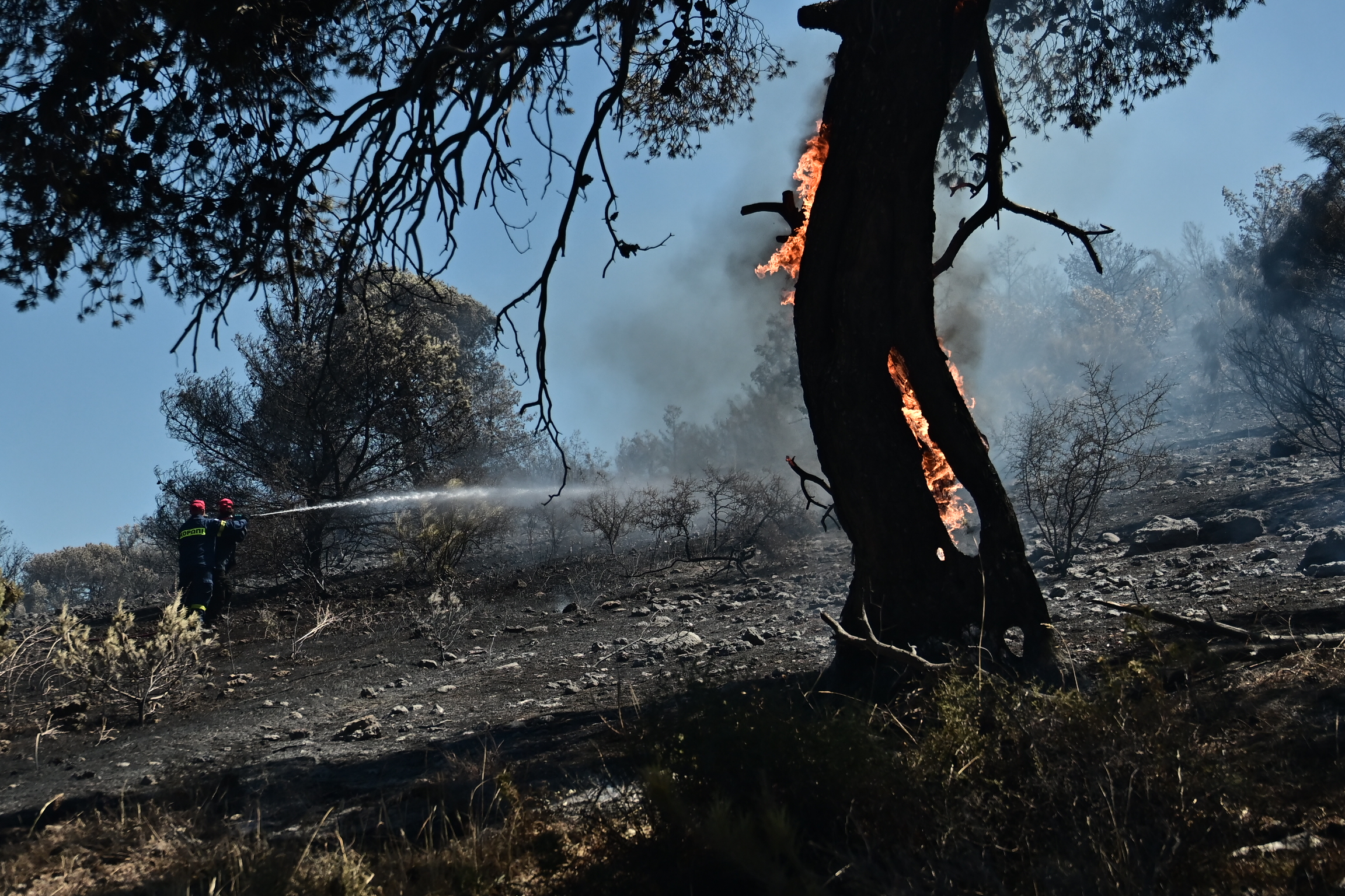Σε ύφεση η φωτιά στο Κορωπί &#8211; Σε επιφυλακή για την αντιμετώπιση νέων εστιών η πυροσβεστική