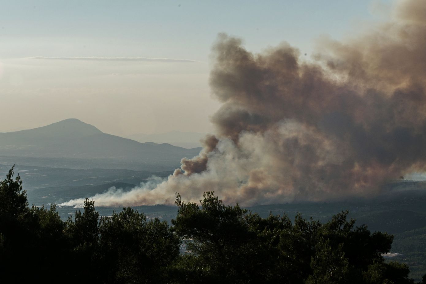 Με δείκτη επικινδυνότητας 5, μέσα σε 8 ώρες υπό έλεγχο η φωτιά στον Ωρωπό