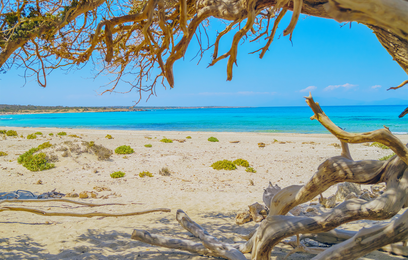 Γαϊδουρονήσι Γαϊδουρονήσι