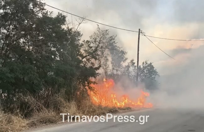 Φωτιά στον Τύρναβο κοντά σε κατοικημένη περιοχή