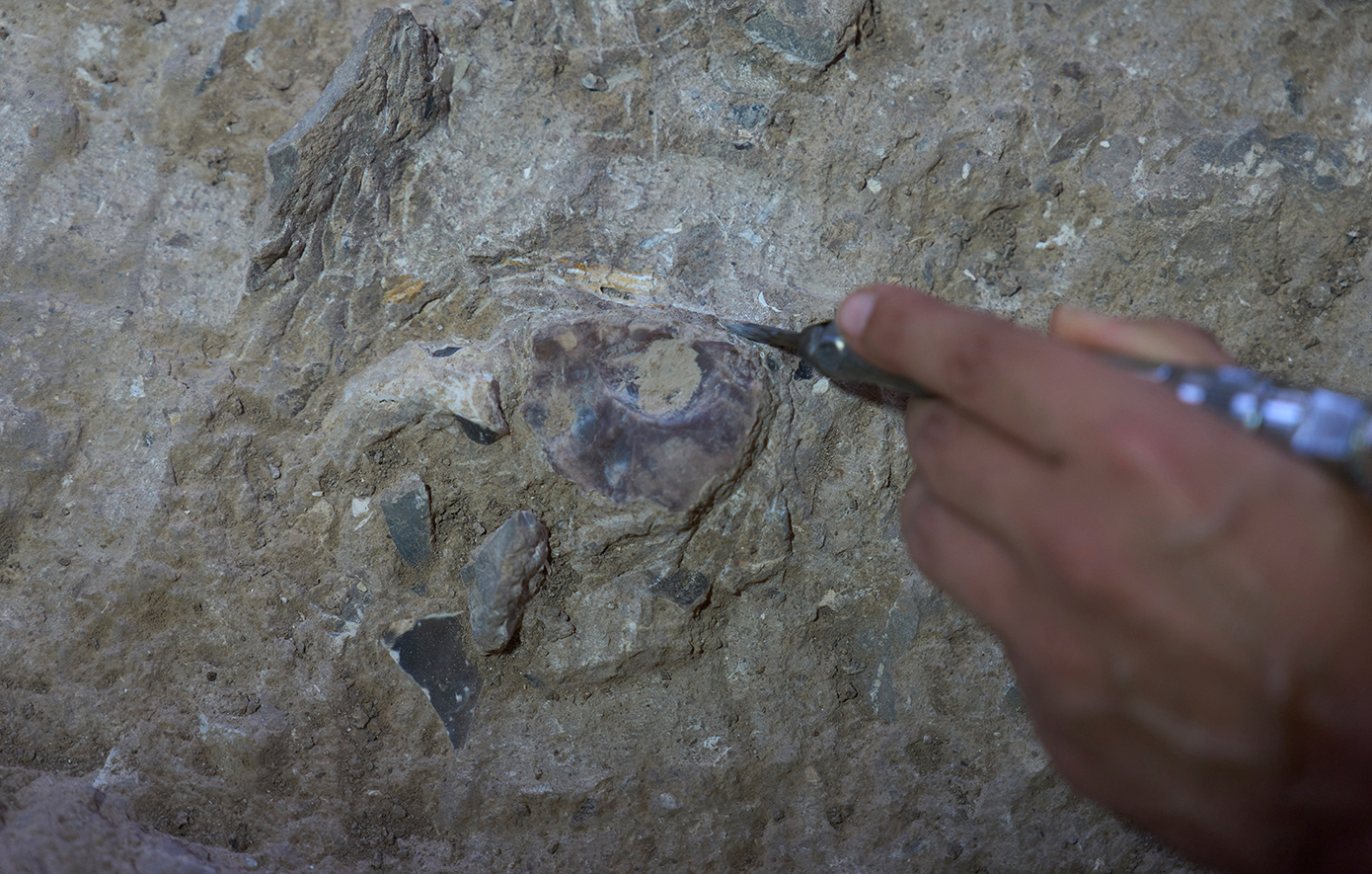 Israel Ancient Burial Site Israel Ancient Burial Site